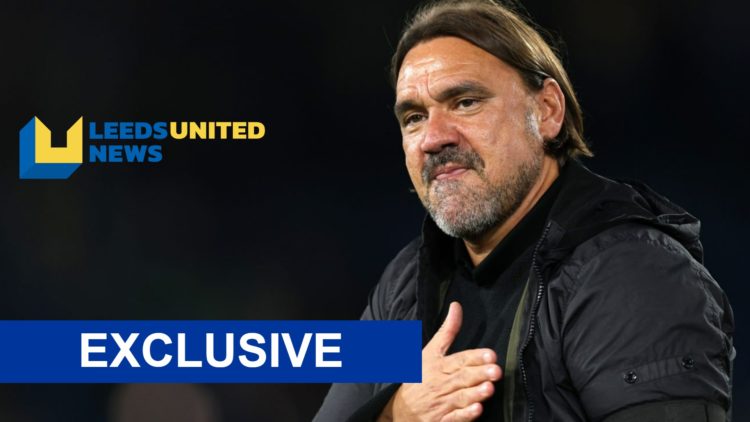 Leeds United manager Daniel Farke celebrates.