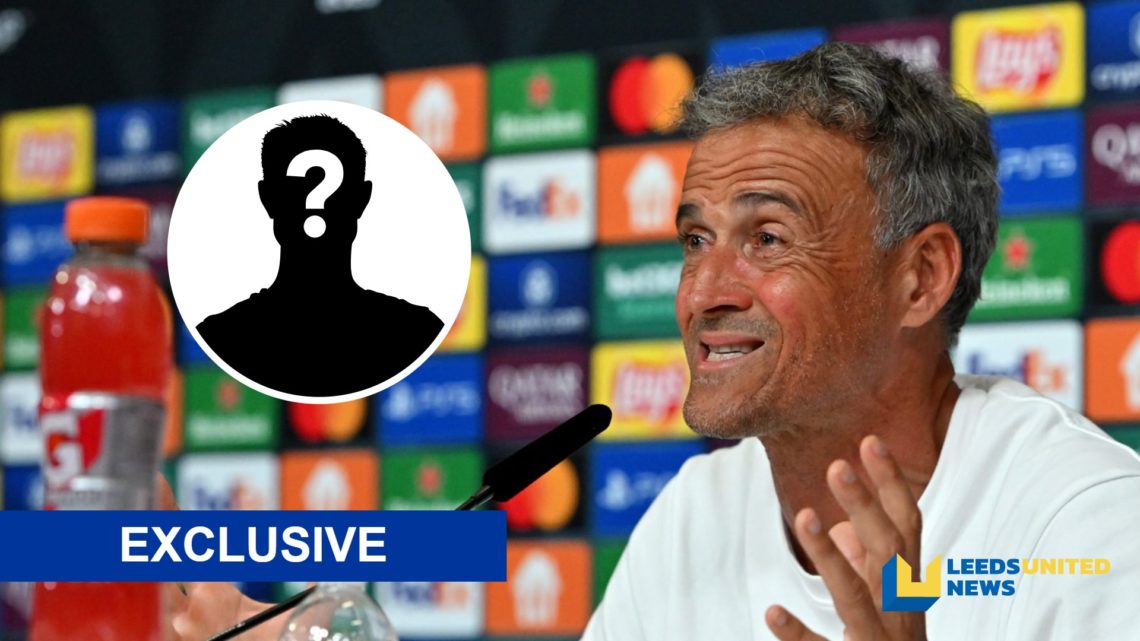 Luis Enrique during a PSG press conference.