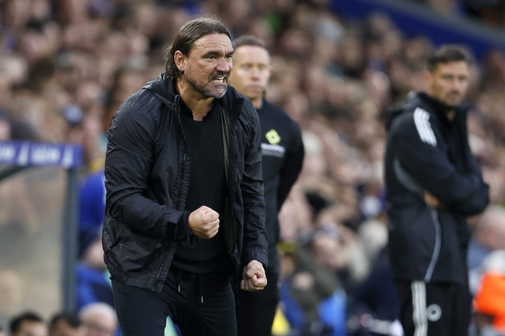 Daniel Farke during Leeds' clash against Newcastle.