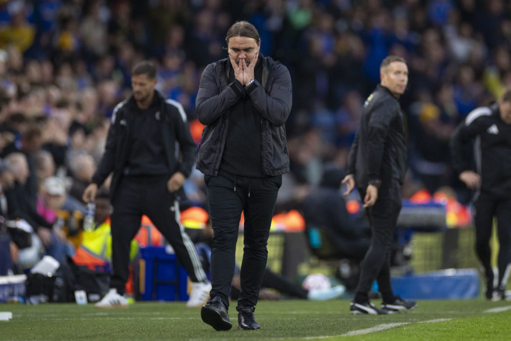 Daniel Farke reacts on the touchline during Leeds United v Newcastle United - Premier League
