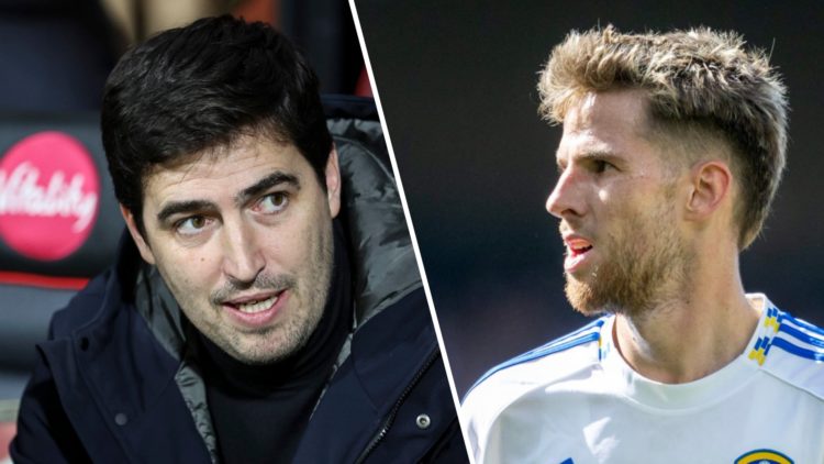AFC Bournemouth manager Andoni Iraola (left) and Anton Stach of Leeds United (right)