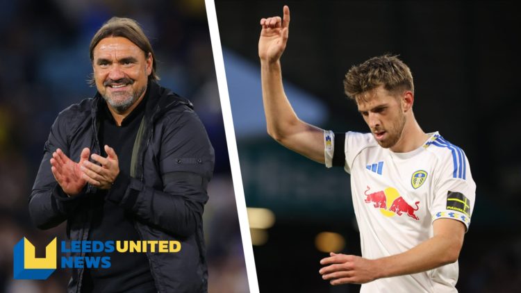 Split image of Leeds United manager Daniel Farke on the touchline, and Leeds United player Anton Stach in action.