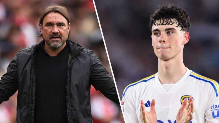 Split image of Leeds United manager Daniel Farke and former player Harry Gray
