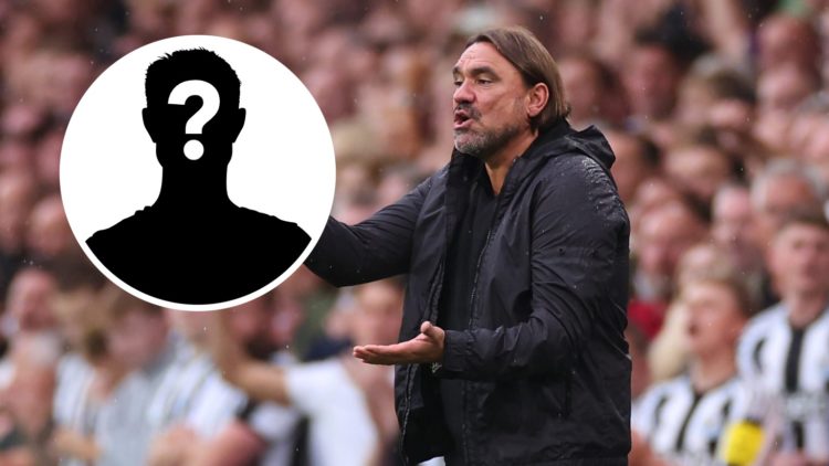 Daniel Farke during Leeds' draw against Newcastle.