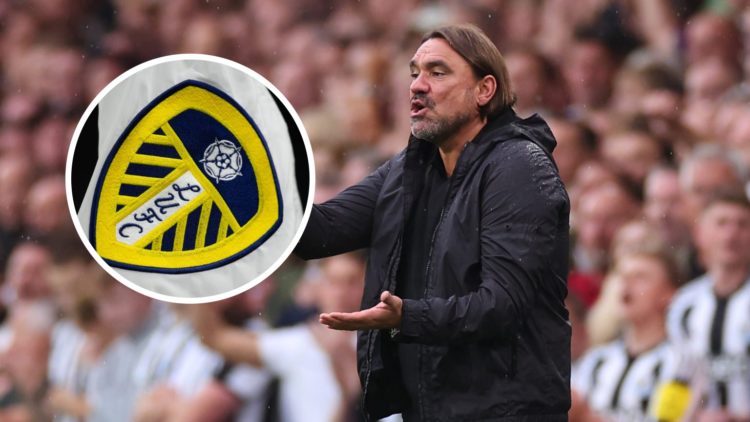 Daniel Farke during a Leeds game.
