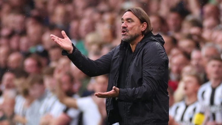 Daniel Farke during a Leeds game.