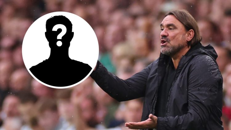 Daniel Farke during a Leeds game.