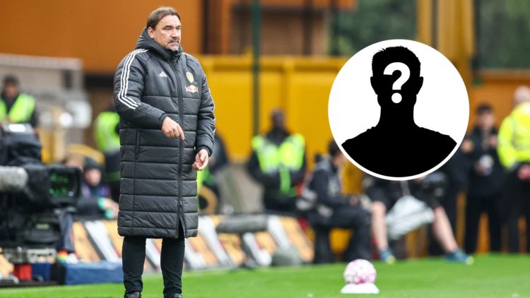 Daniel Farke during Leeds' win over Wolves.