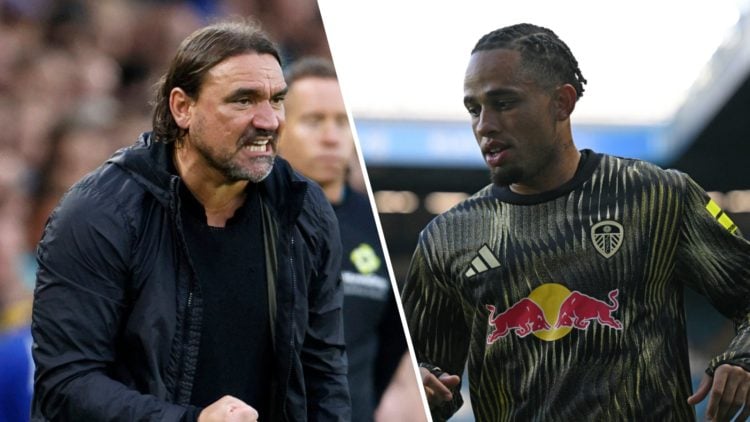 Split image of Leeds United manager Daniel Farke and Noah Okafor