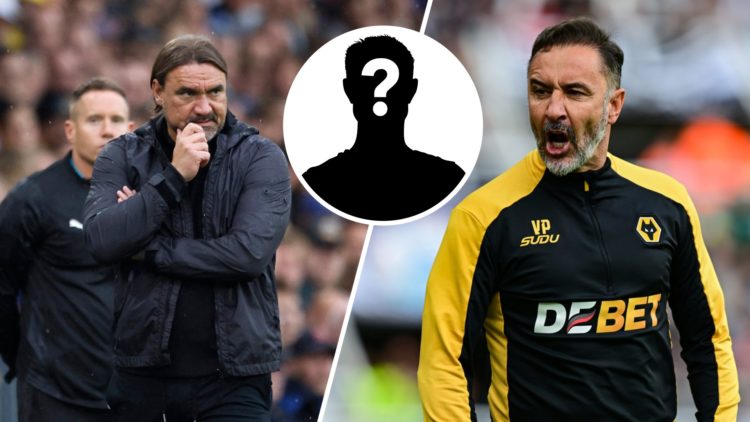 Split image of Leeds United manager Daniel Farke and Wolves manager Vitor Pereira with the mystery player overlay