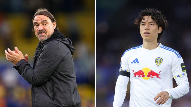 Daniel Farke and Ao Tanaka during a Leeds game.