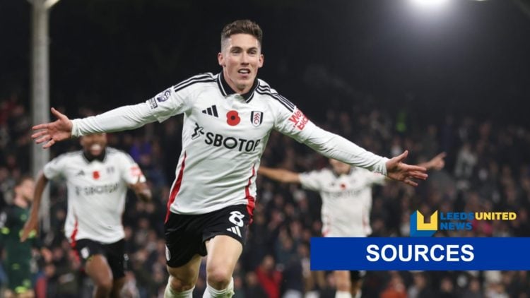 Harry Wilson of Fulham with LUN sources banner