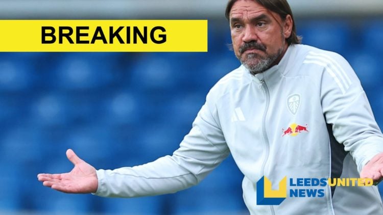 Leeds United manager Daniel Farke shrugs his shoulders.