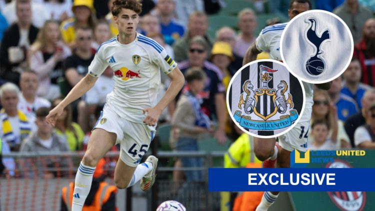 Leeds United forward Harry Gray (left) with Newcastle and Spurs crests (right) and LUN exclusive banner