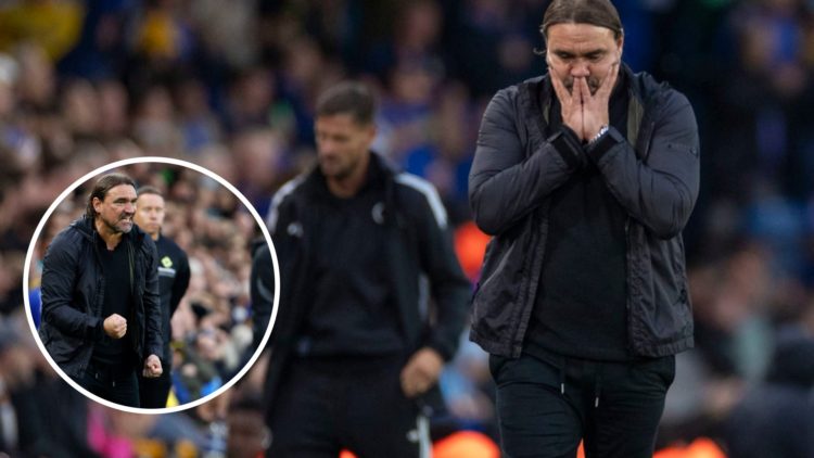 Leeds United manager Daniel Farke happy (left) and frustrated (right)