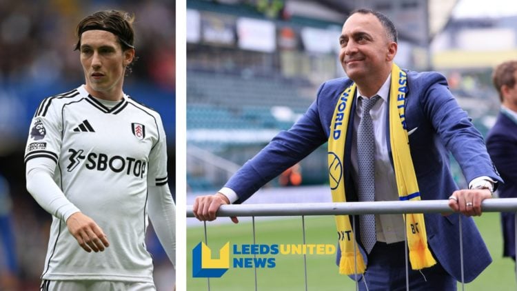 Split image of Harry Wilson in action for Fulham, and Leeds United chairman Paraag Marathe.
