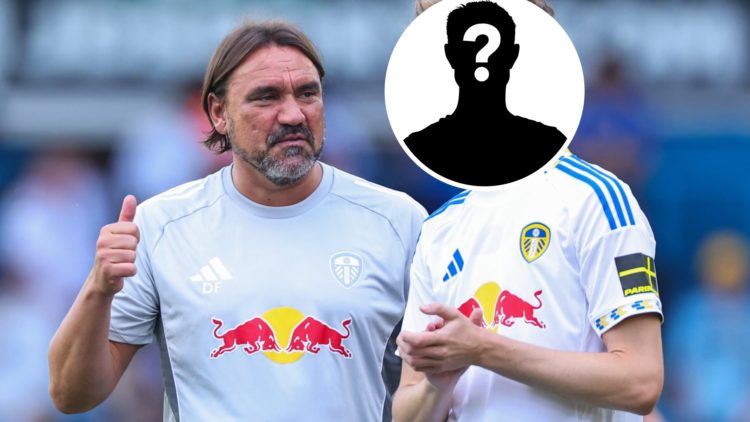 Leeds United manager Daniel Farke (left) with Harry Gray covered by mystery player inset (right)