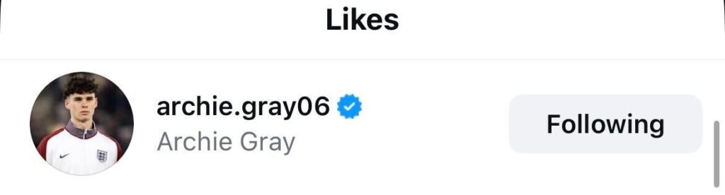 Screenshot of Archie Gray liking Leeds' post about Harry Gray's new deal.