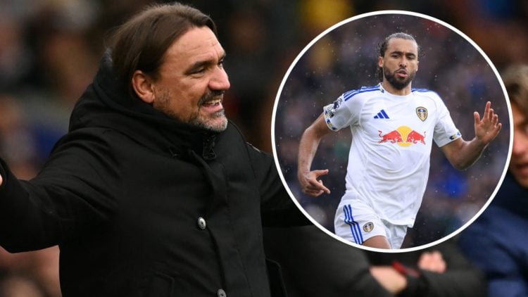 Daniel Farke holds his hands out in exasperation during Leeds vs Tottenham. Inset: Dominic Calvert-Lewin runs.