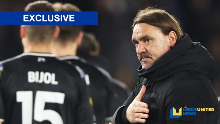 Daniel Farke is under pressure at Leeds United.