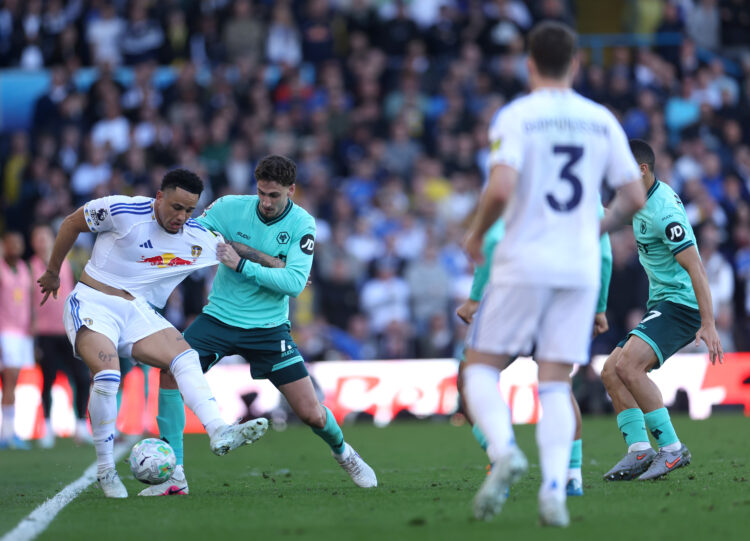 Photo by Brett Patzke - WWFC/Wolves via Getty Images
